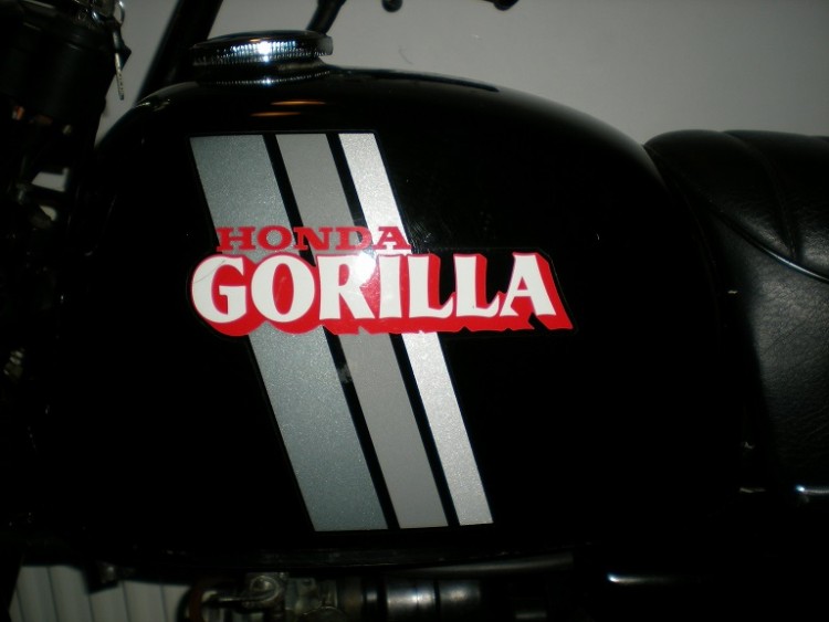 '82 gorilla (Z50Jc)