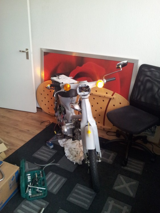 2013-02-05 11.16.27.jpg.jpg