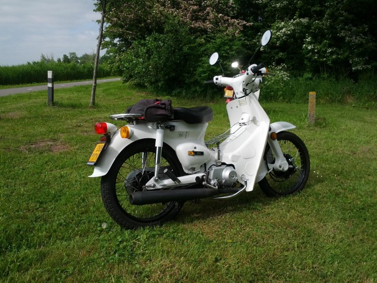 smc50.jpg