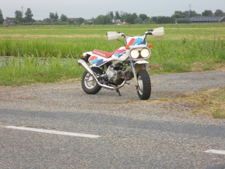 DSCN0326.JPG